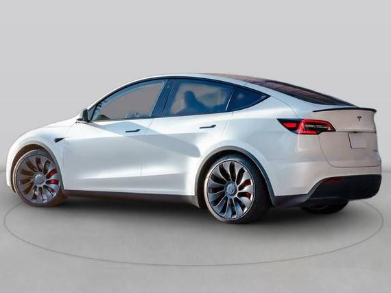 TESLA MODEL Y 2024 7SAYGDEE1RF046335 image
